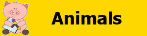 animals header 